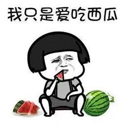 娱乐圈吃瓜入口是什么,揭秘明星幕后故事